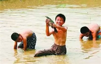浑水摸鱼 浑水摸鱼
